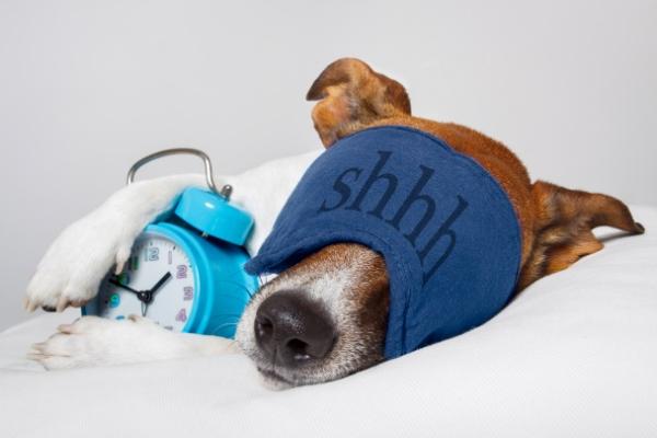 5 Tips for a Better Bedtime
