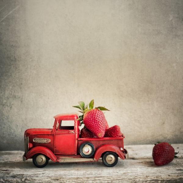 The Rise of the Food Truck Trend and How it can Help your Restaurant